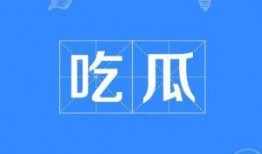 今日吃瓜每日大赛.社会热点事件素材,吃瓜大赛，揭秘社会热点背后的故事